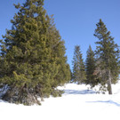 1503201staufende01005aktivnews__30_.jpg