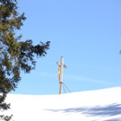 1503201staufende01005aktivnews__32_.jpg