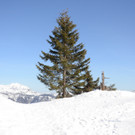 1503201staufende01005aktivnews__36_.jpg