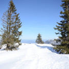1503201staufende01005aktivnews__9_.jpg