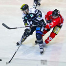 file63zztzifl6f1fozgl79n.jpg
