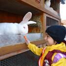 DSC00693_JPG-1331902258