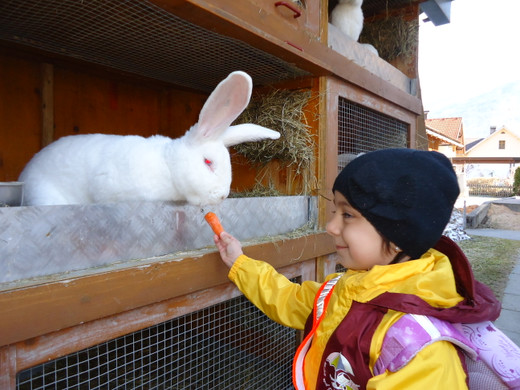 DSC00693_JPG-1331902258