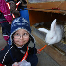 DSC00694_JPG-1331902360