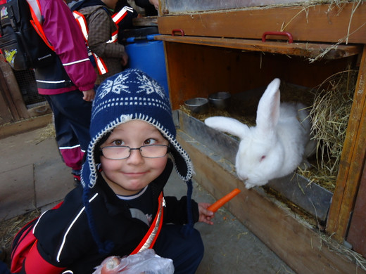 DSC00694_JPG-1331902360