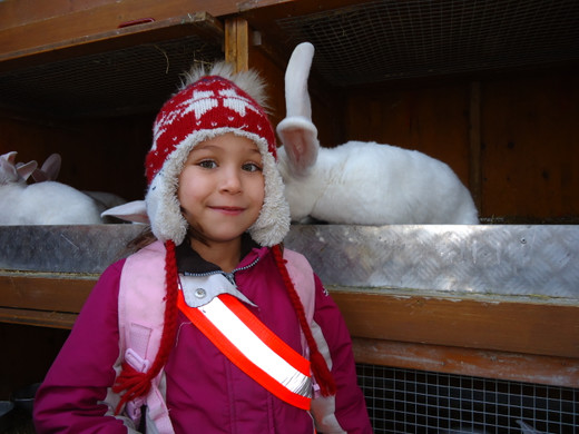 DSC00695_JPG-1331902444