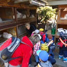 DSC00696_JPG-1331902548