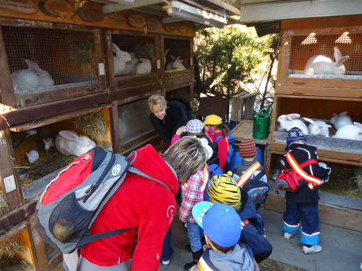 DSC00696_JPG-1331902548