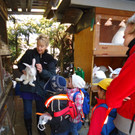 DSC00697_JPG-1331902626