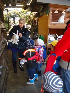 DSC00697_JPG-1331902626