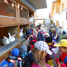 DSC00698_JPG-1331902728