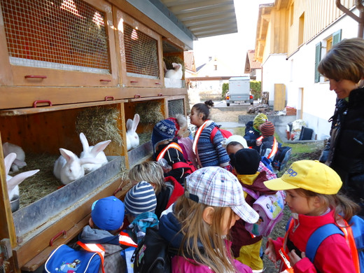 DSC00698_JPG-1331902728