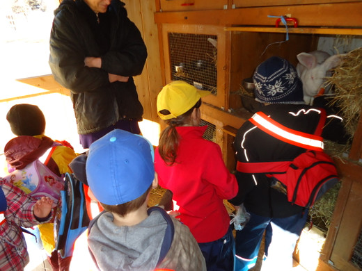 DSC00700_JPG-1331902813