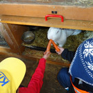 DSC00701_JPG-1331902916