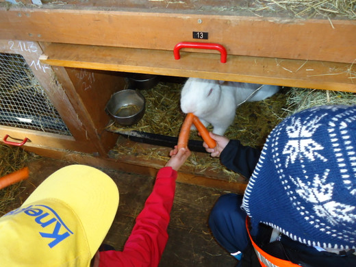 DSC00701_JPG-1331902916