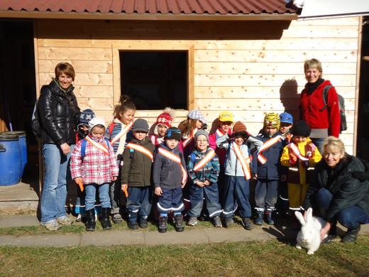 DSC00705_JPG-1331903017