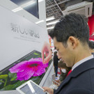 IBD0305-20120316.jpg
