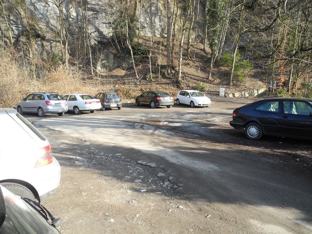 DSCN1173_JPG-1331908725