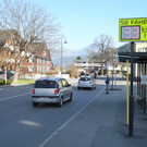 DSCN1159_jpg-1331909936