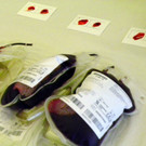 101_5081_jpg-1331940865