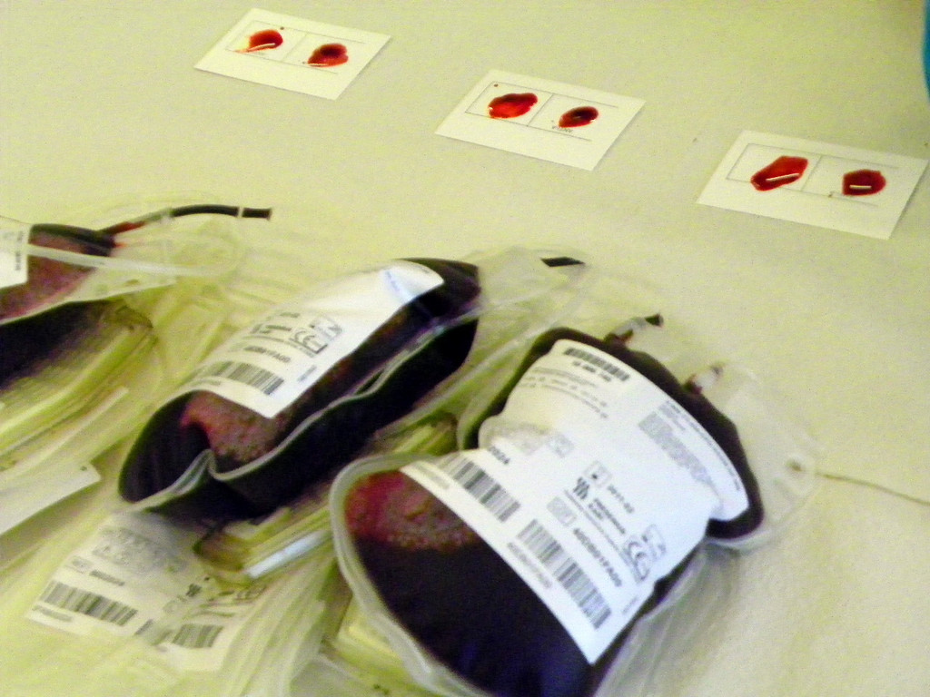 101_5081_jpg-1331940865