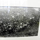 114_0382_JPG-1331943666