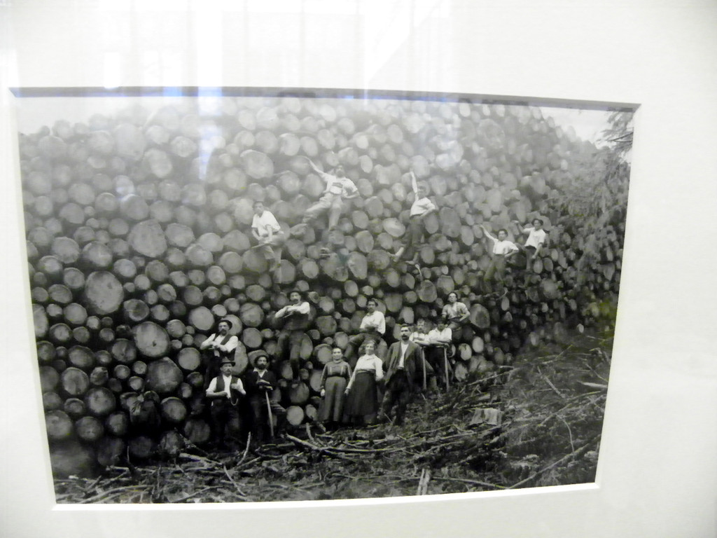 114_0382_JPG-1331943666