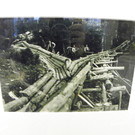 114_0383_JPG-1331943672