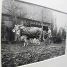 114_0390_JPG-1331943701