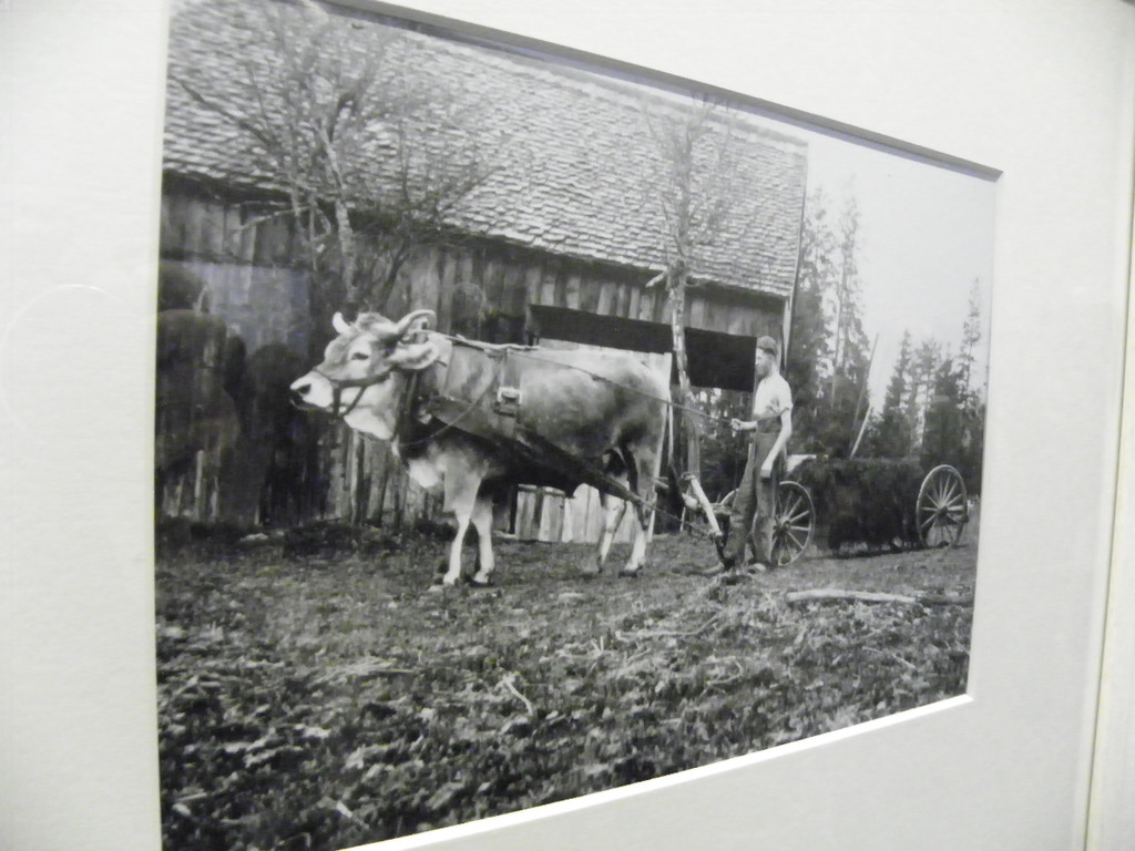 114_0390_JPG-1331943701