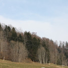 IMG_0957.JPG