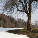 IMG_0971.JPG