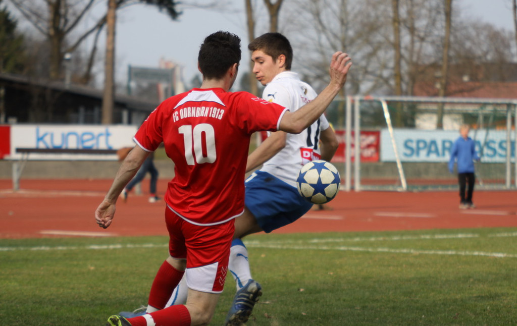 VB FK - Dornb_  2012 365_jpg-1332016541