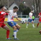 VB FK - Dornb_  2012 407_jpg-1332016560