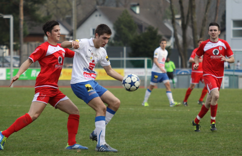 VB FK - Dornb_  2012 407_jpg-1332016560