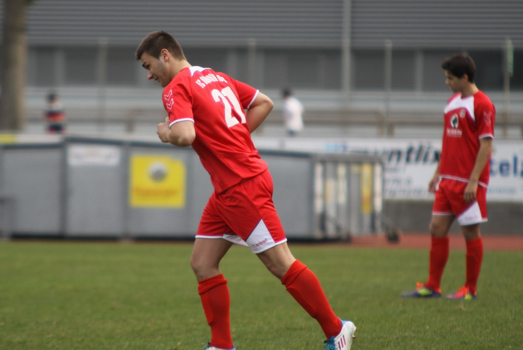 VB FK - Dornb_  2012 431_jpg-1332016577