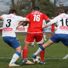 VB FK - Dornb_  2012 473_jpg-1332016595