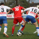 VB FK - Dornb_  2012 475_jpg-1332016604