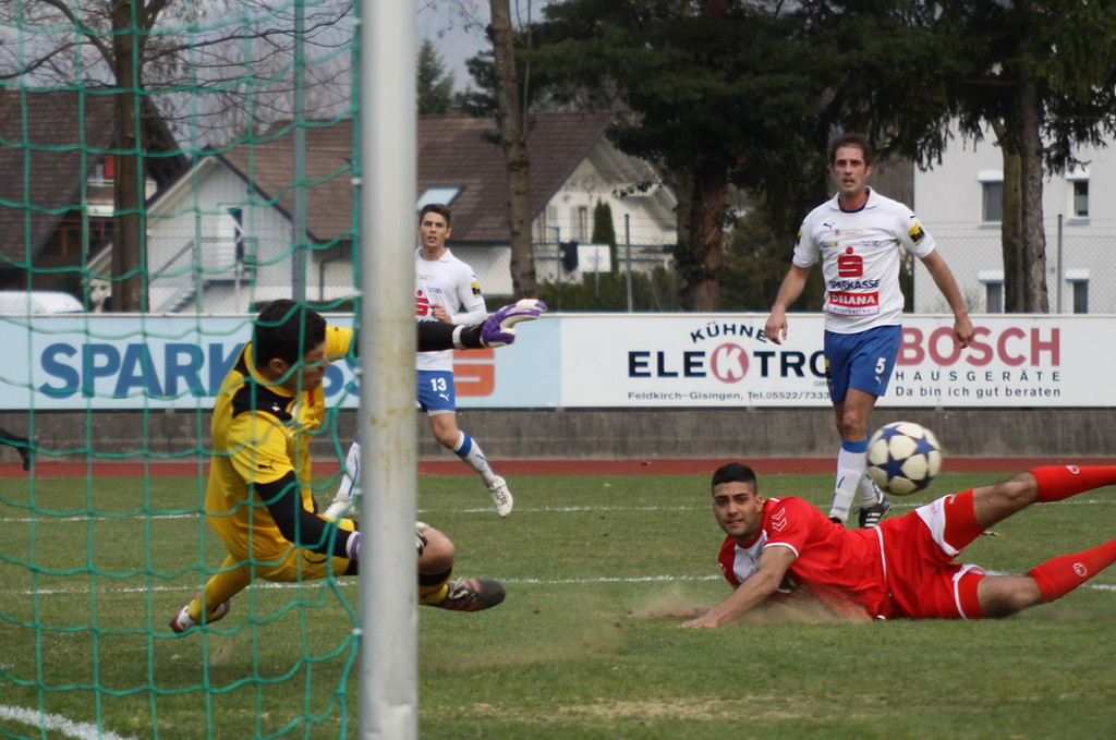 VB FK - Dornb_  2012 492_jpg-1332016632