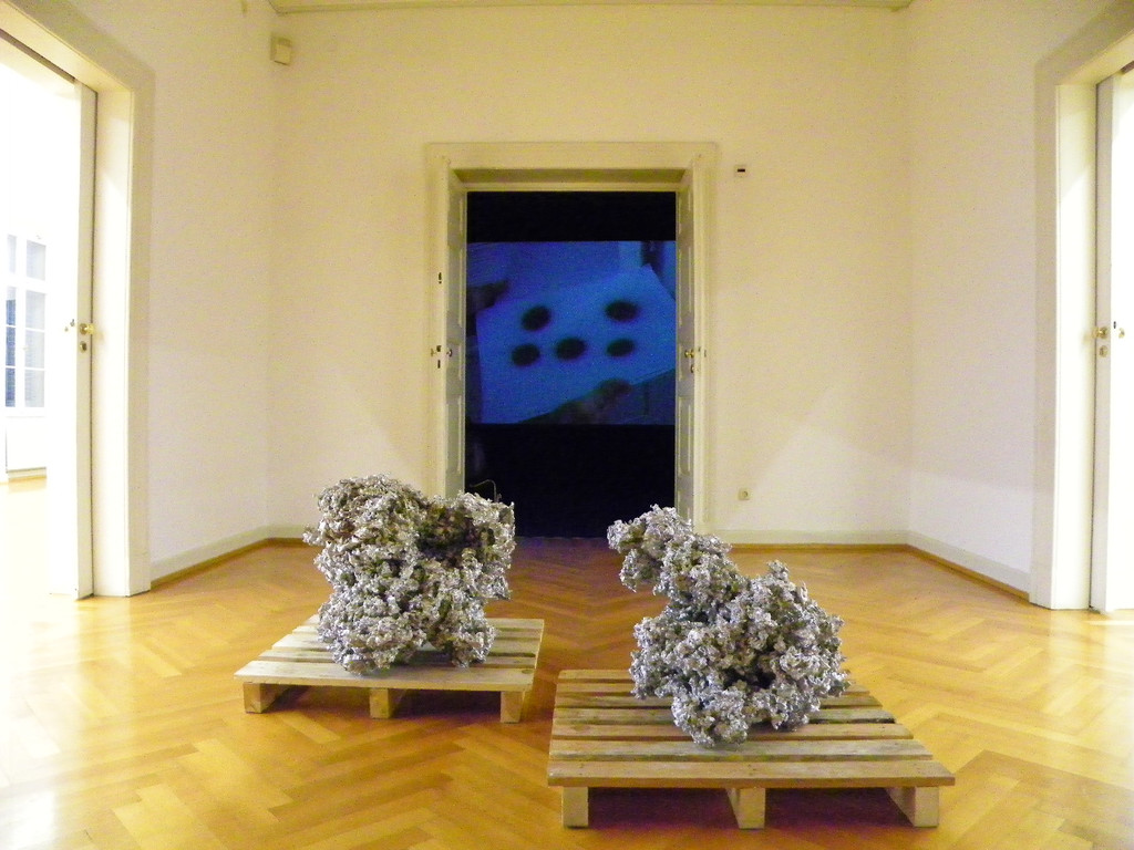 113_9953_JPG-1332030335