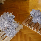 113_9954_JPG-1332030631