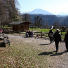 KOE_Wildpark 201203 14_jpg-1332087475