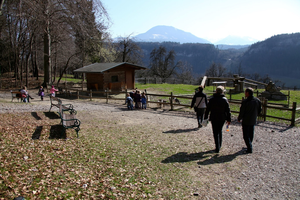 KOE_Wildpark 201203 14_jpg-1332087475