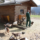 KOE_Wildpark 201203 16_jpg-1332087492