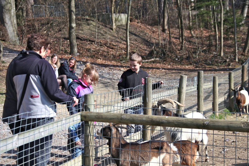 KOE_Wildpark 201203 18_jpg-1332087509