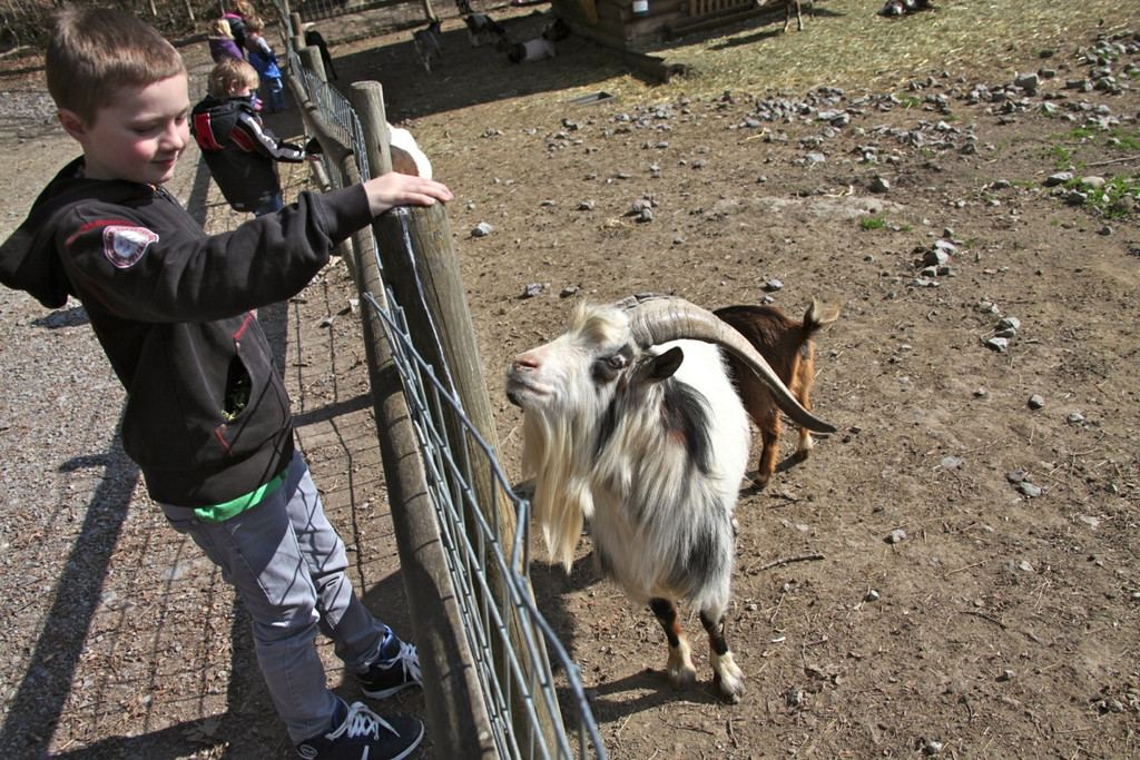 KOE_Wildpark 201203 20_jpg-1332087529