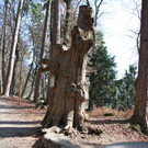 KOE_Wildpark 201203 29_jpg-1332087625