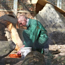 KOE_Wildpark 201203 35_jpg-1332087664