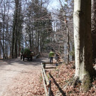 KOE_Wildpark 201203 39_jpg-1332087691