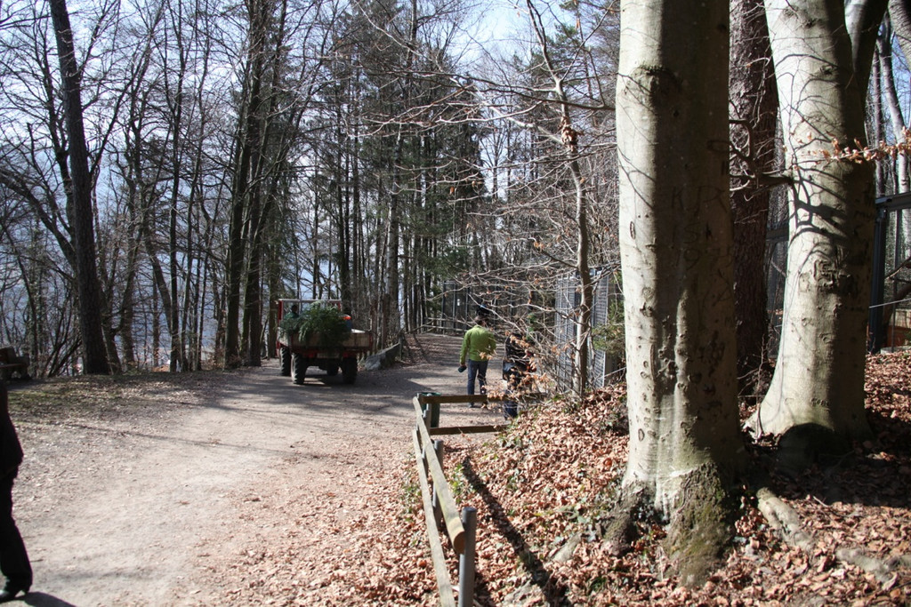 KOE_Wildpark 201203 39_jpg-1332087691